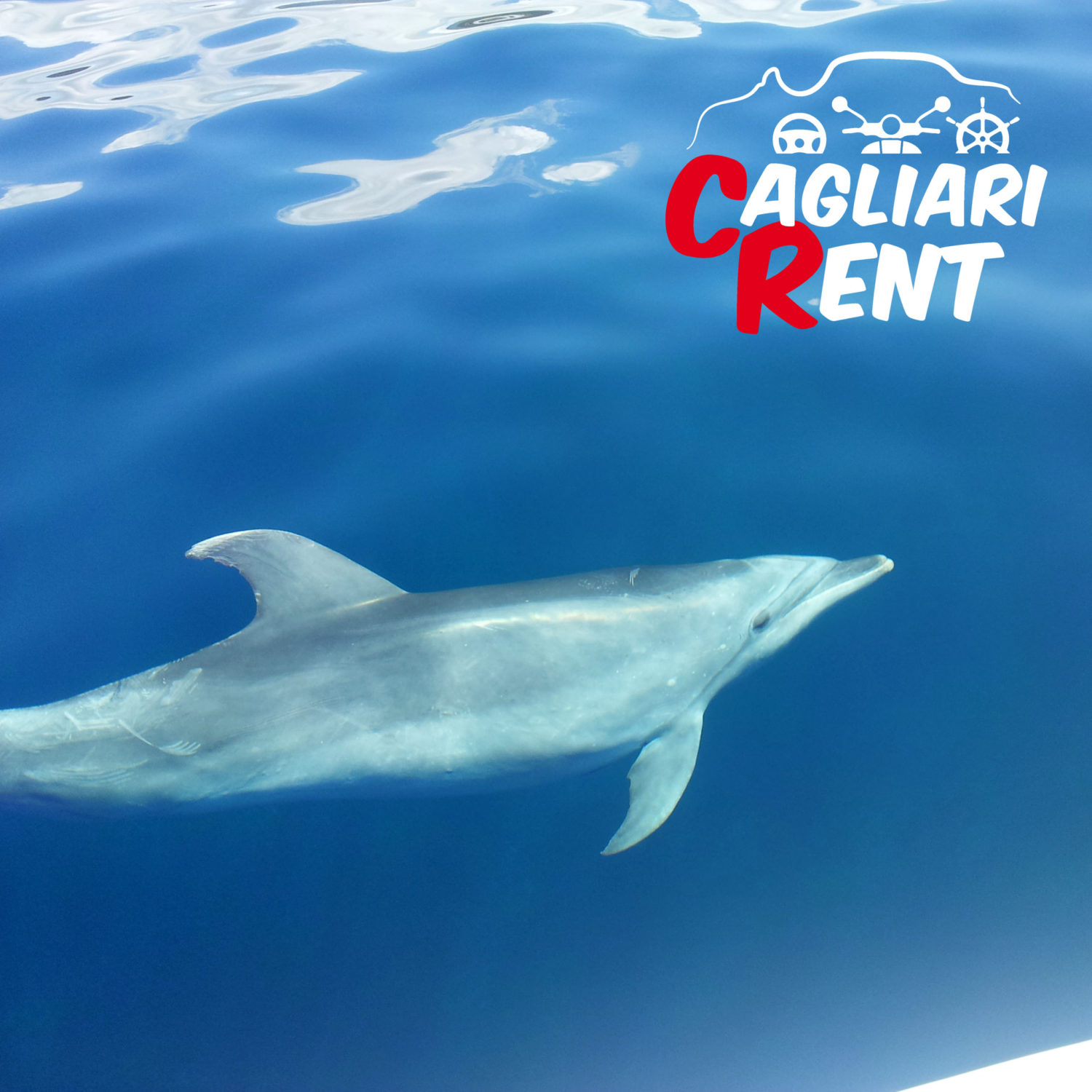 Gite In Barca A Cagliari Cagliari Rent Partenza Da